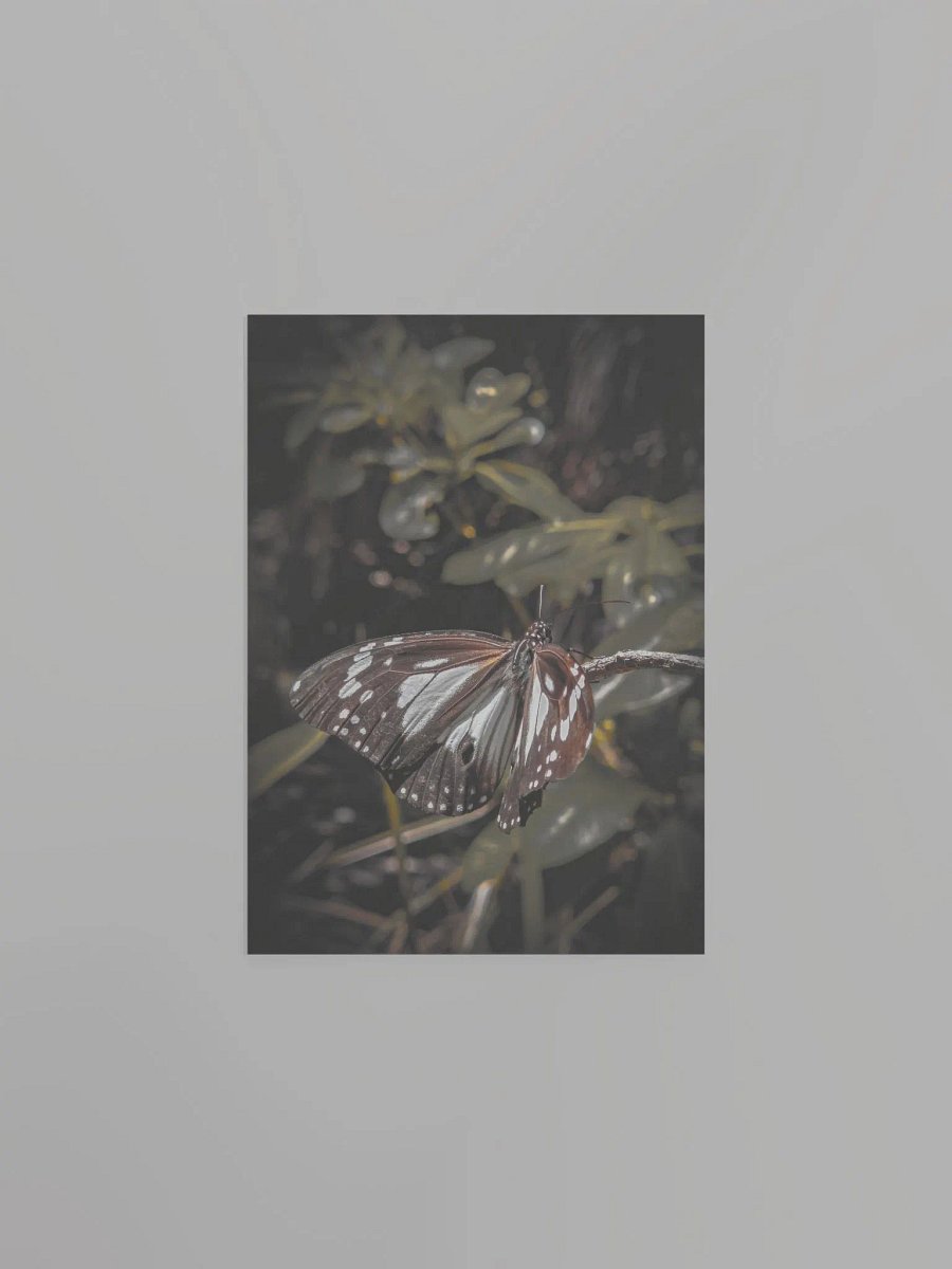 Butterfly product image (4)
