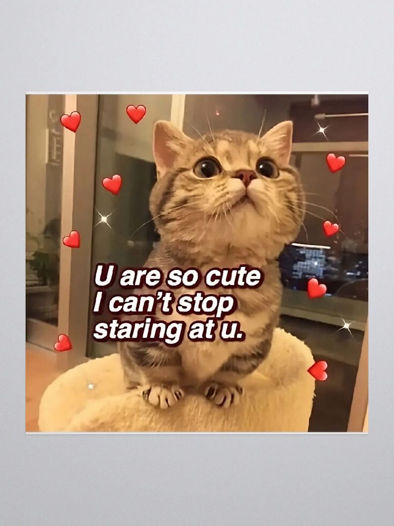 Kiss Cut Stickers: Meme Cats