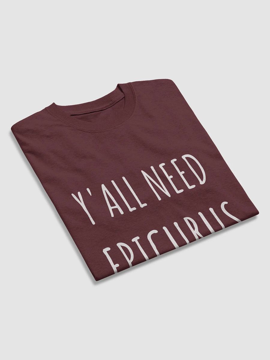 Ya'll Need Epicurus (Gildan Heavyweight T-Shirt) product image (39)