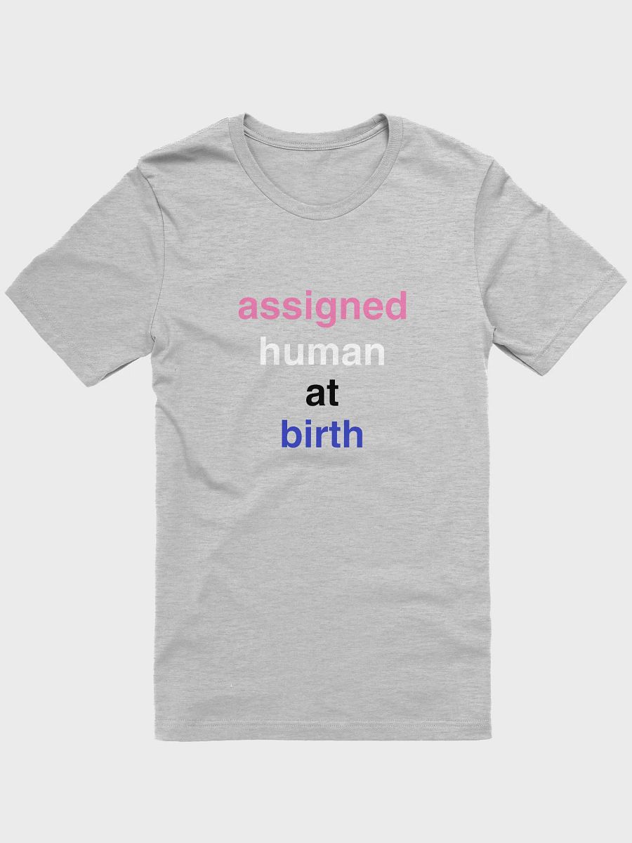 assigned human at birth genderfluid t-shirt product image (1)