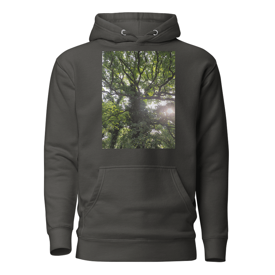 oak hoodie product image (1)
