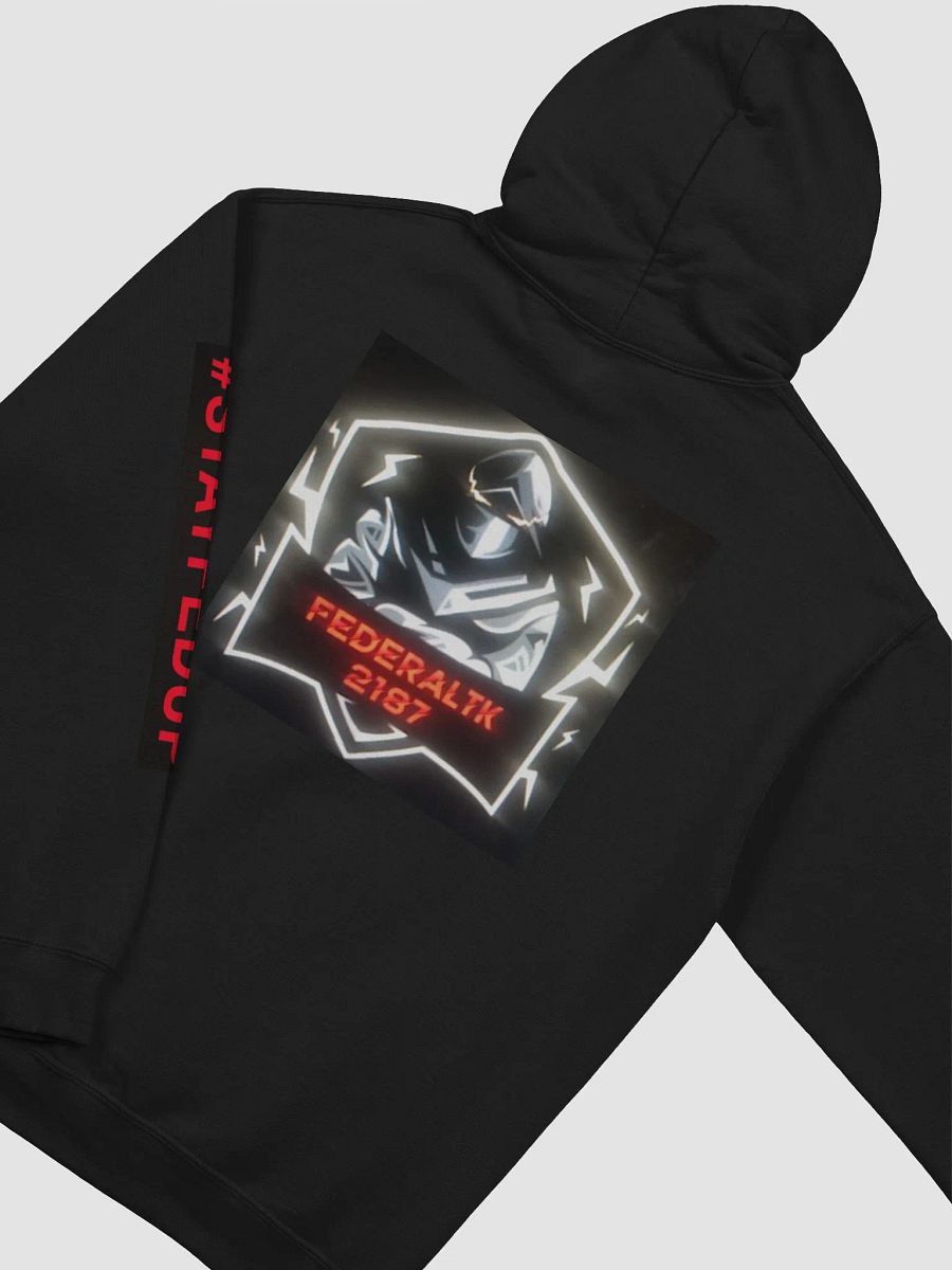FEDERALTK2187 #StayFedUp Sleeve Print Hoodie product image (4)