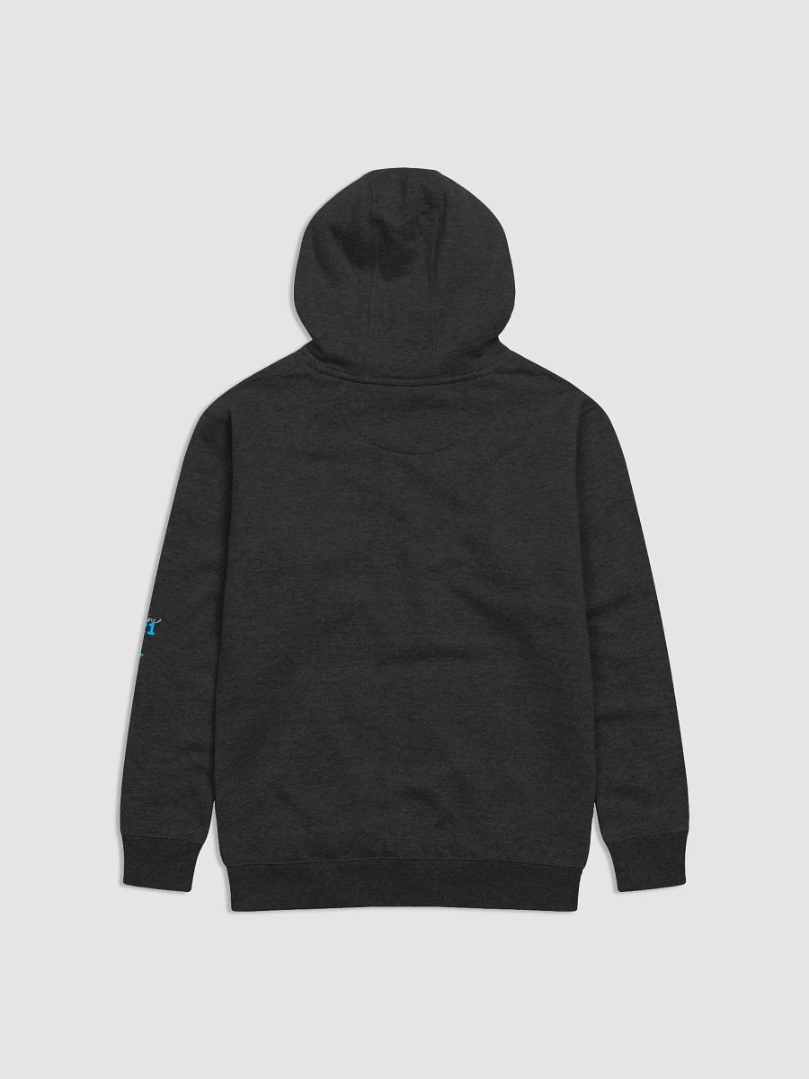 Team 21 Hoodie CanalJMS product image (12)