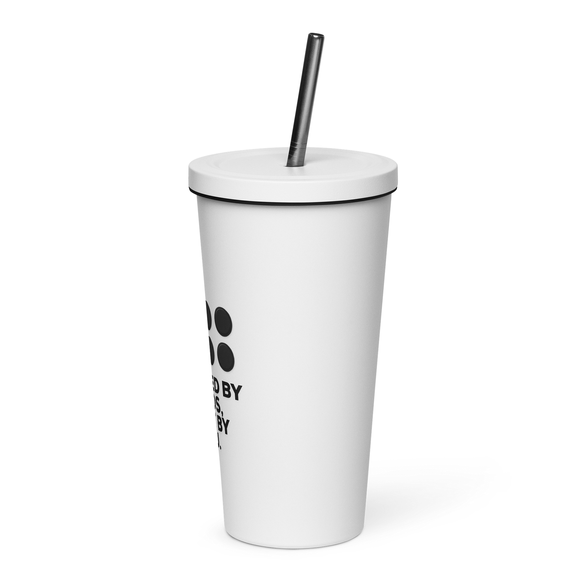 Inspired by Studs Insulated Cup w/ Straw product image (3)