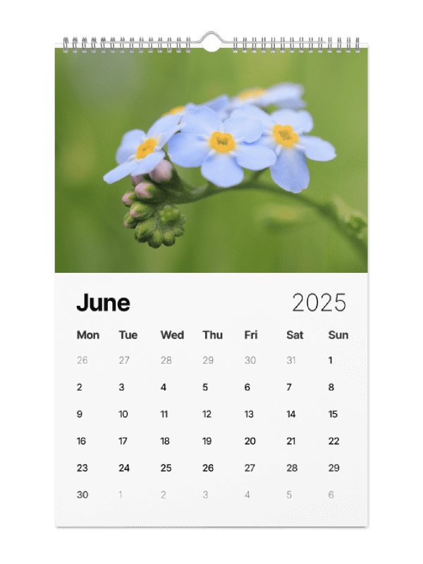 Plants & Wildflowers Calendar 2025 product image (2)