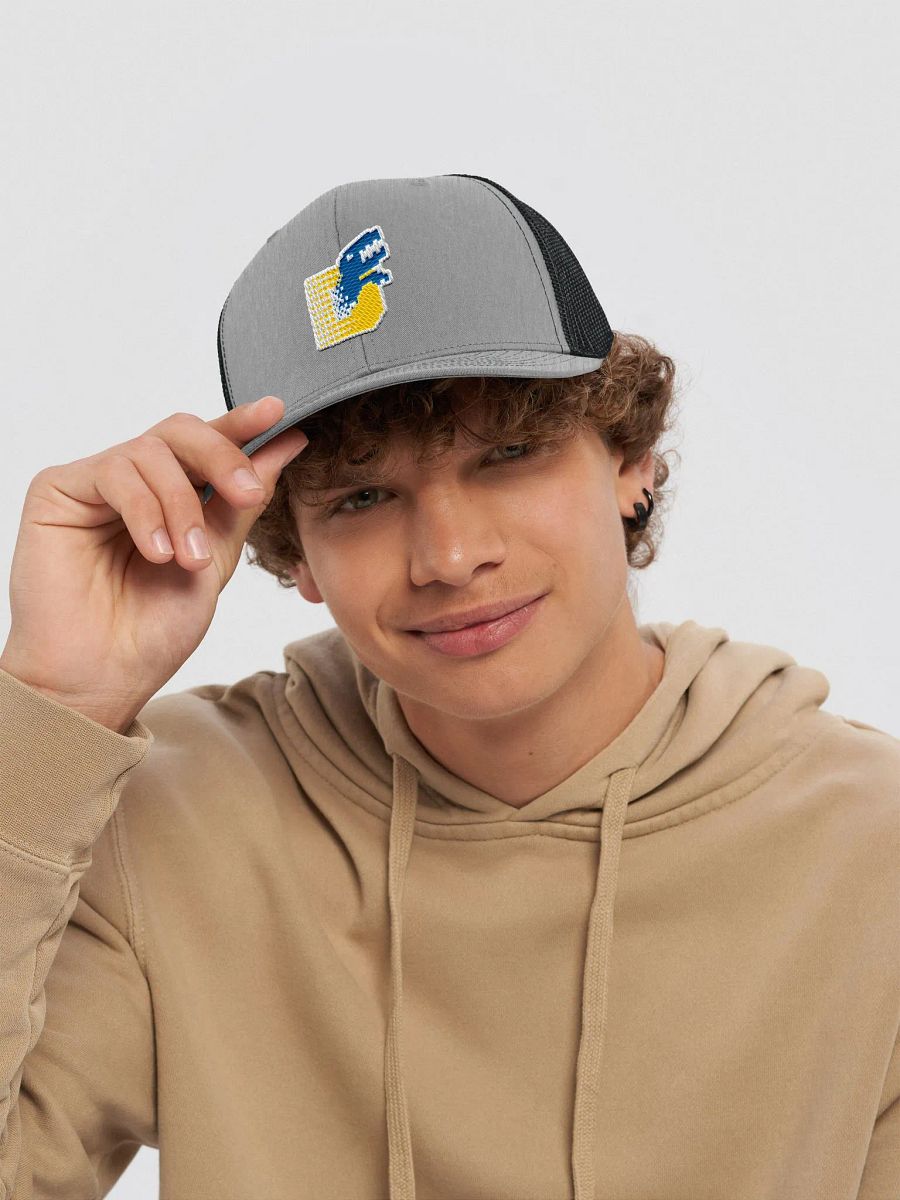 DigiHat product image (1)