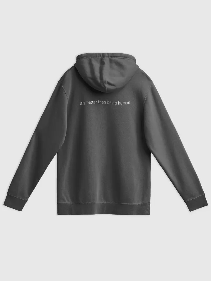 SOSP hoodie product image (2)