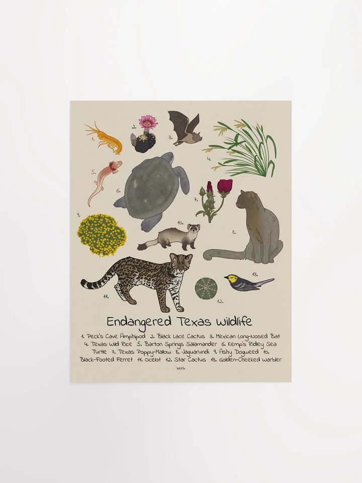 Endangered Texas Wildlife Print product image (1)