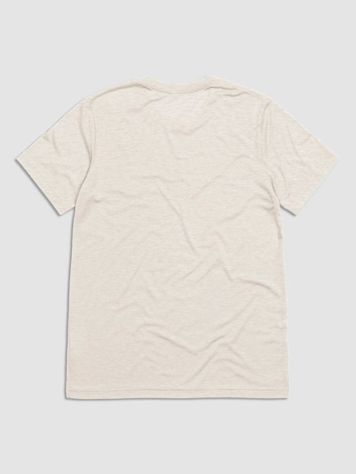 Be Gay, Ride Rollercoasters (light - tri-blend) product image (2)