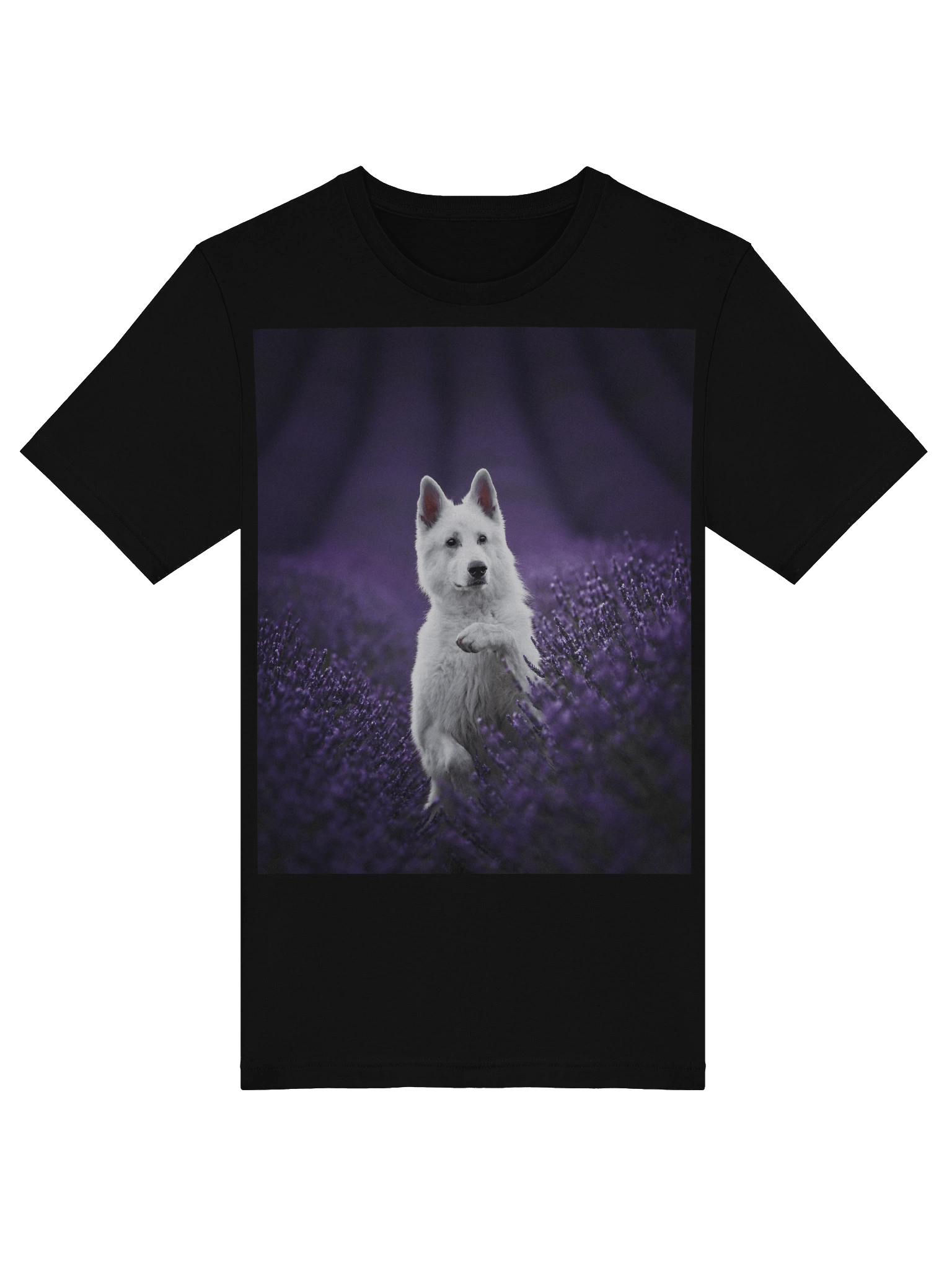 Rasta in the lavender fields product image (22)