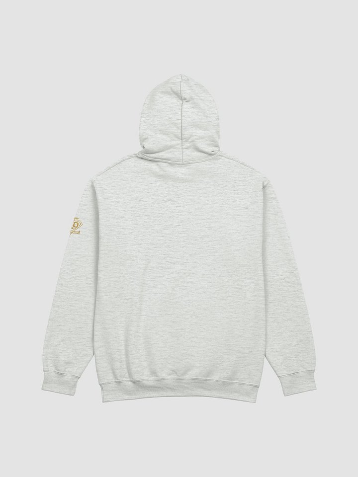 TEO Hoody product image (2)
