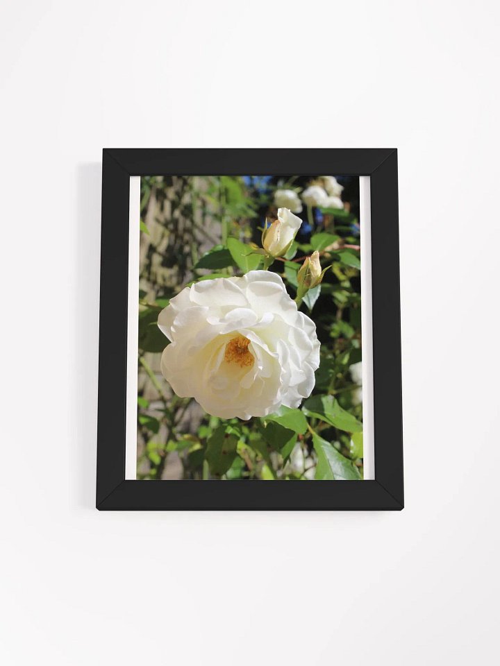 Heaven scent product image (3)