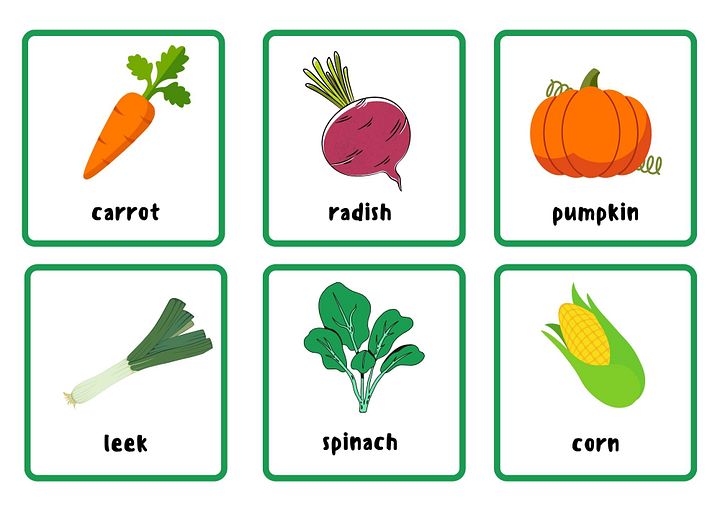 Animals Flash Cards for kids product image (1)