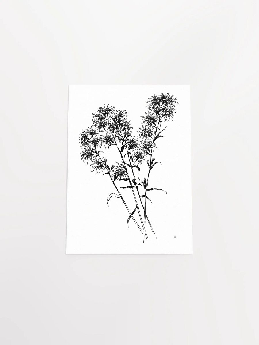 Monochrome Botanical Bliss Poster - Bouquet Flowers product image (4)