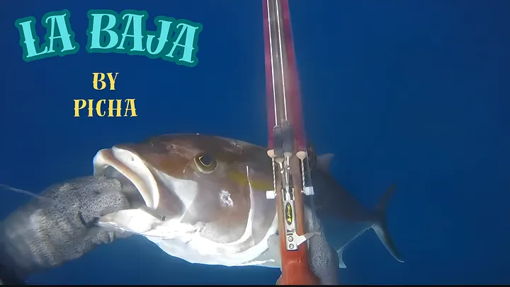 Pesca submarina en Tenerife VOL1 product image (1)