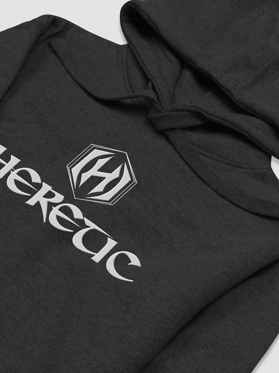 Heretic Embroidered Hoodie product image (21)