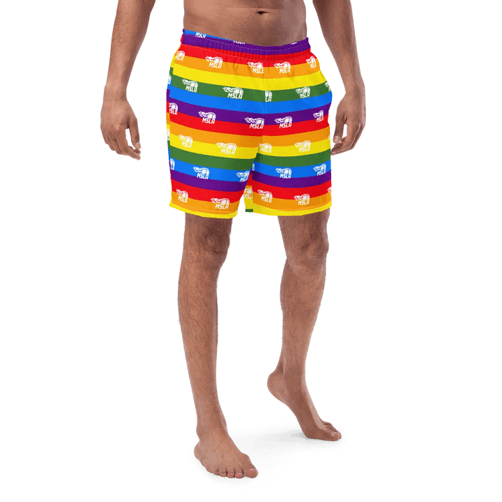 MSLA Pride - Swim Trunks product image (1)