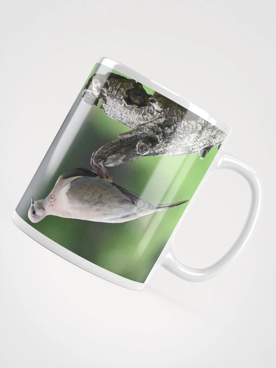 IUCAA Birds MUG product image (4)