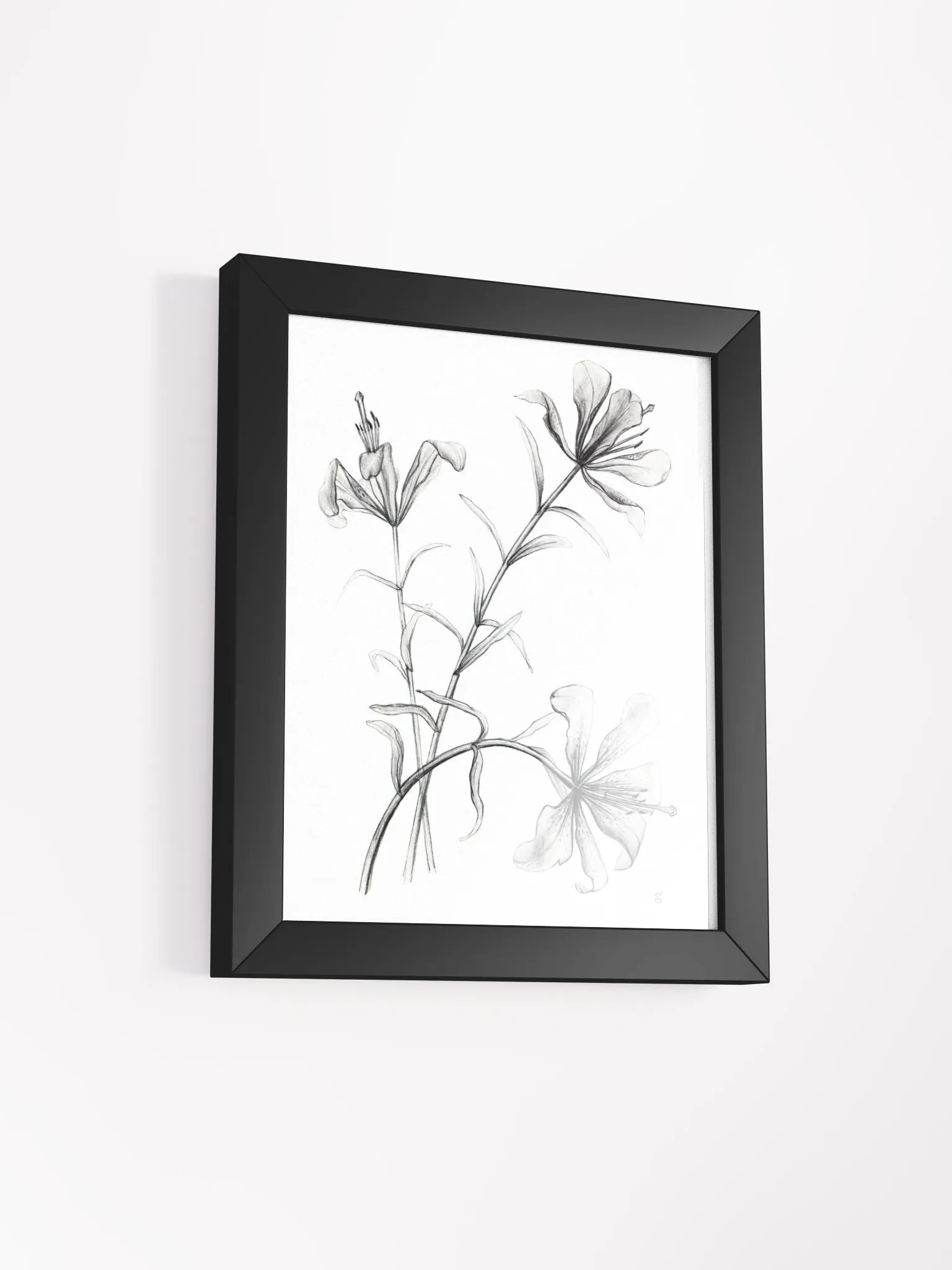 Ethereal Blossoms Framed Poster - Wild Elegant Flowers product image (6)