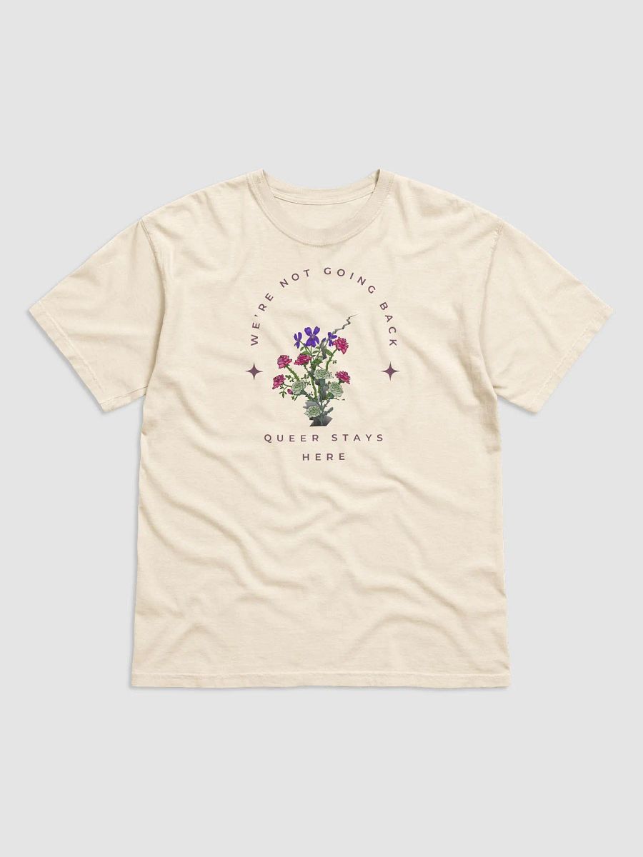 Queer Stays Here T-shirt product image (1)