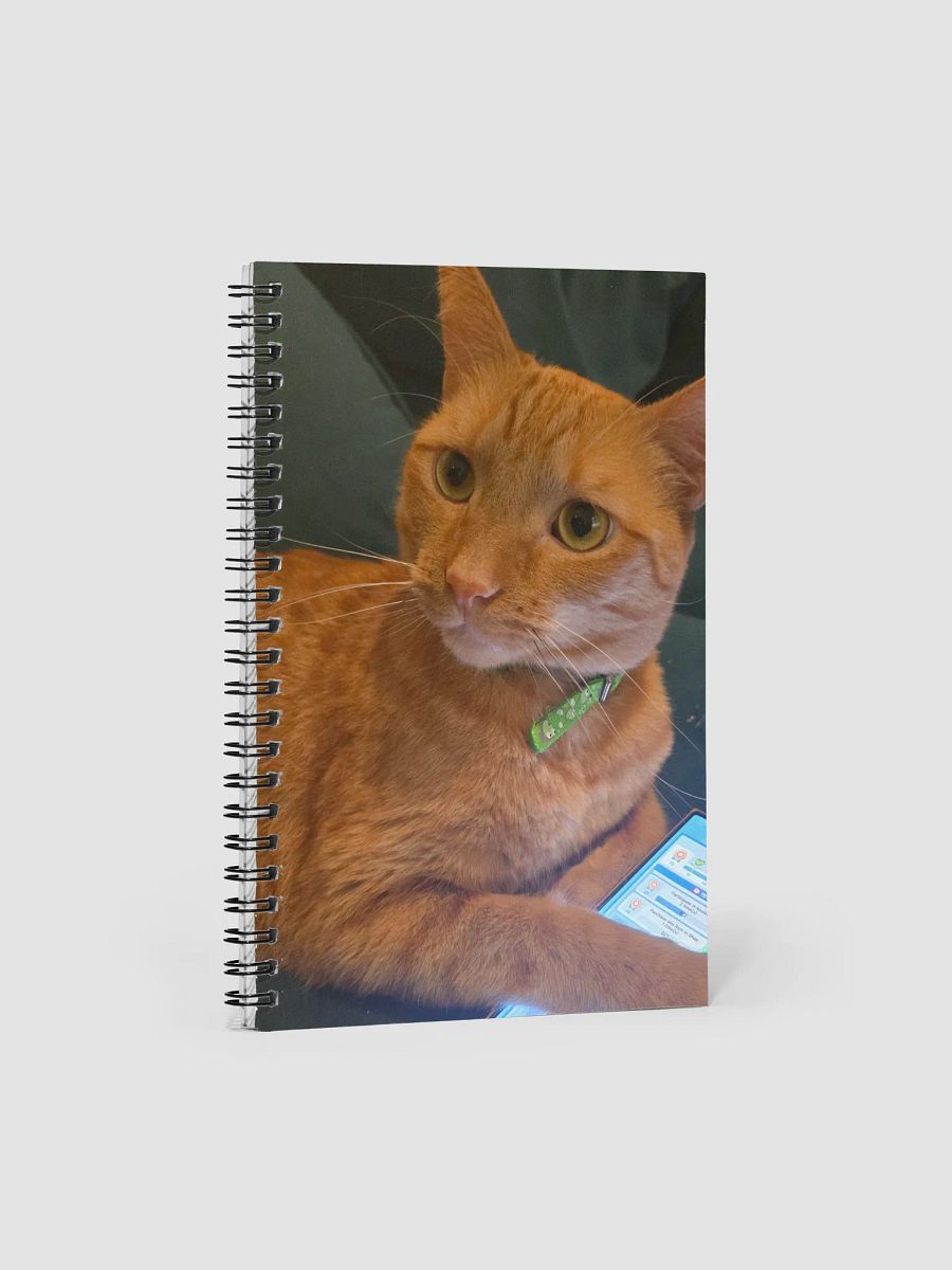 Cat Book product image (1)