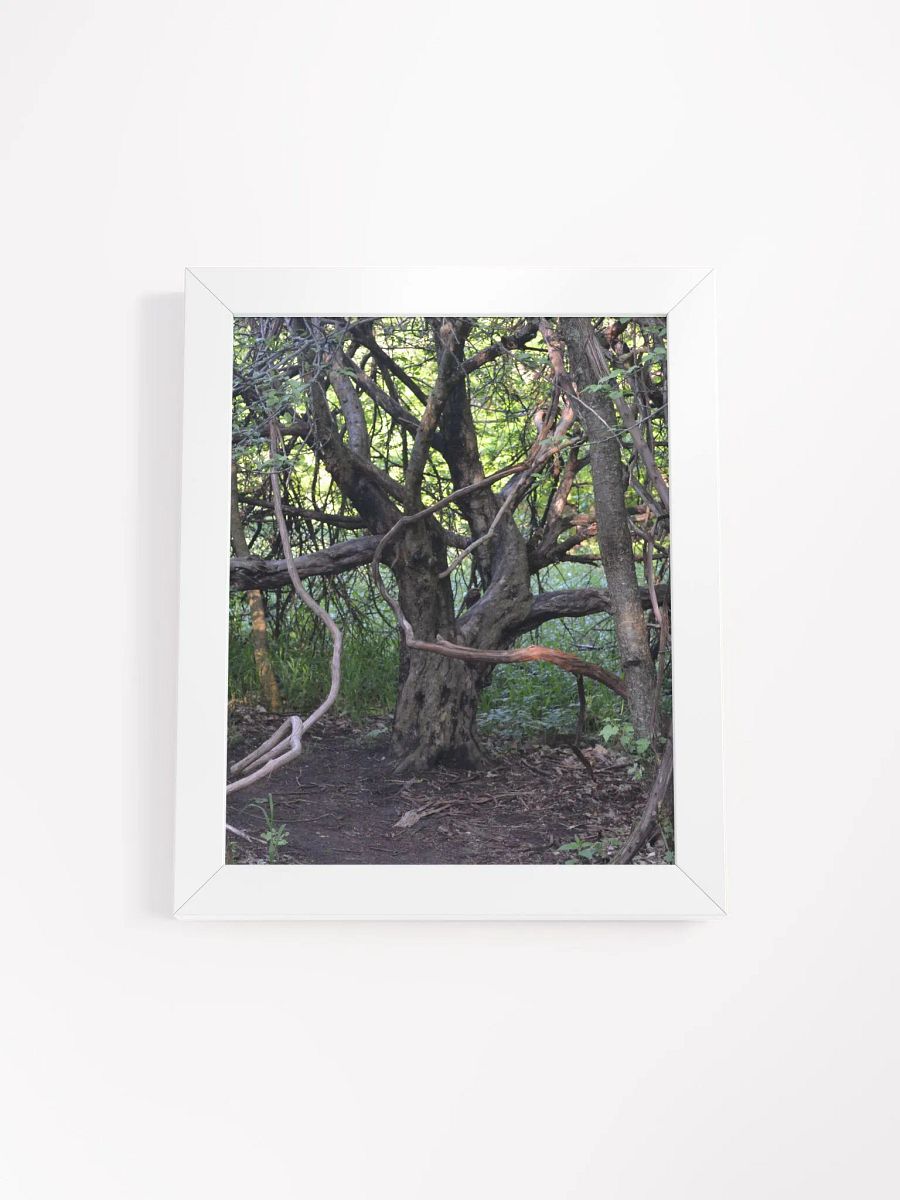 Tree of Branches High Quality Poster product image (1)