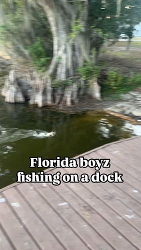 Florida boyz fishing on a dock #orlando #fishing #funny #funnymemes