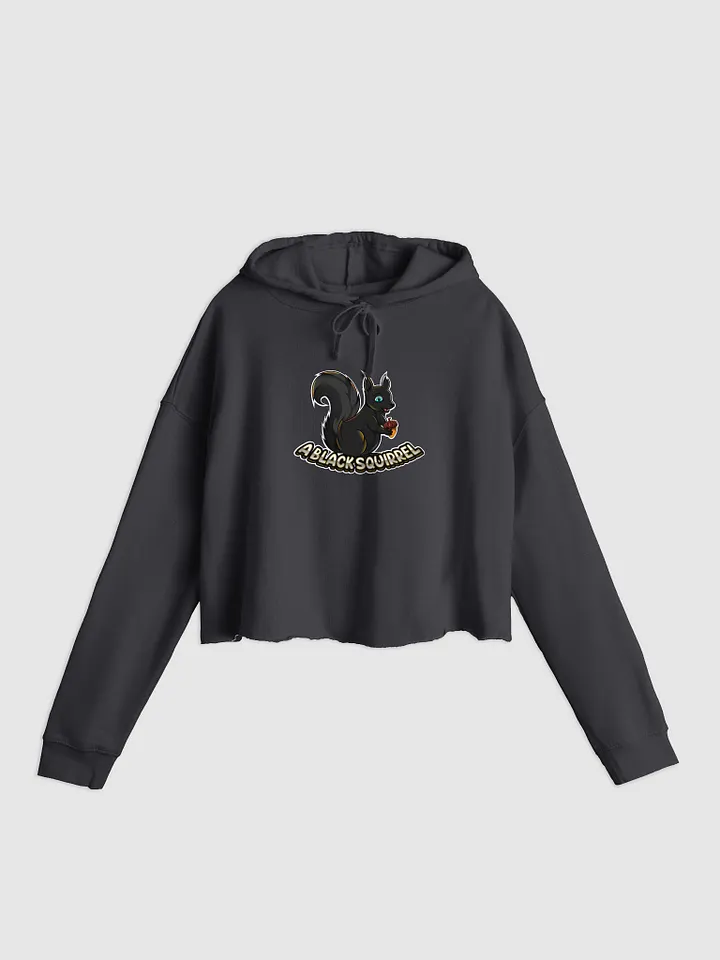 A Black Squirrel Cropped Sweatshirt product image (4)