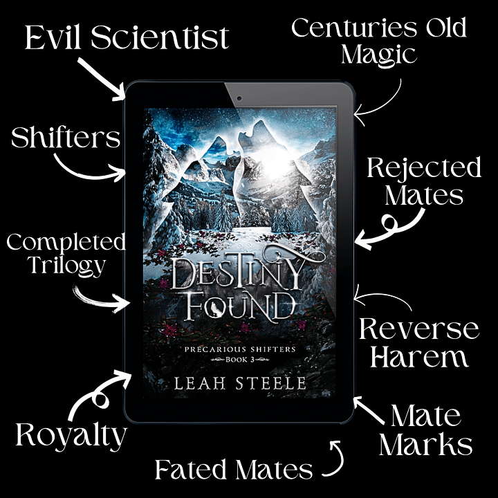 Destiny Found Ebook- Precarious Shifters Book 3 product image (2)