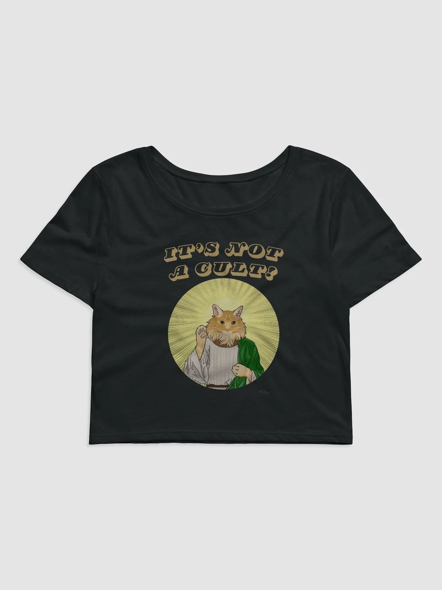 NotACult Crop Top product image (1)