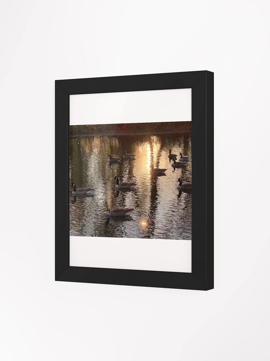 Sunset Geese Print product image (24)