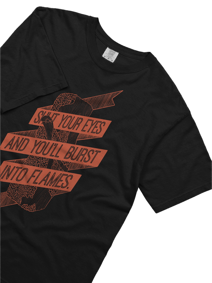 Into Flames product image (2)