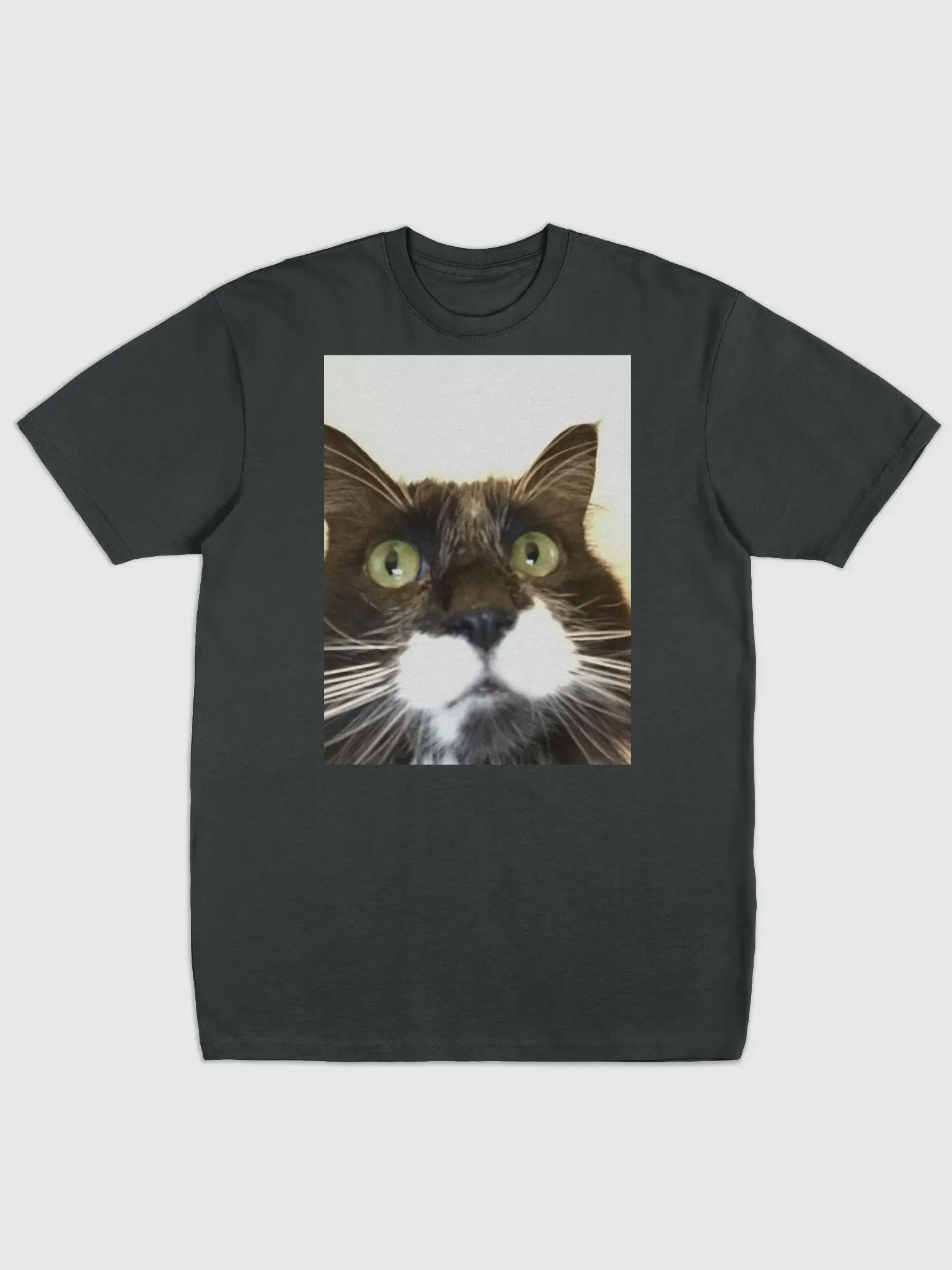 Dharma Cat T-shirt product image (1)