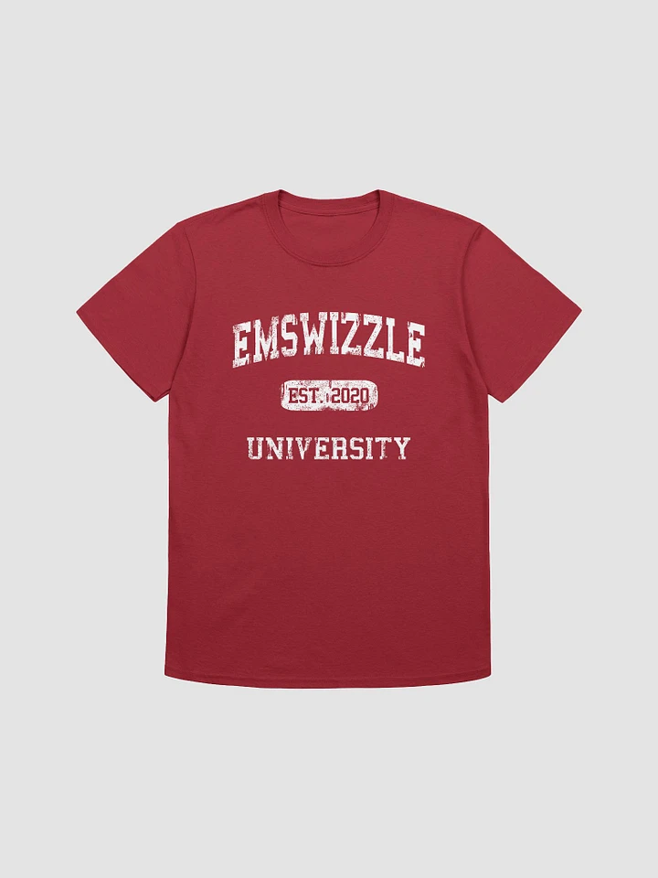 EmSwizzle University Tee product image (1)