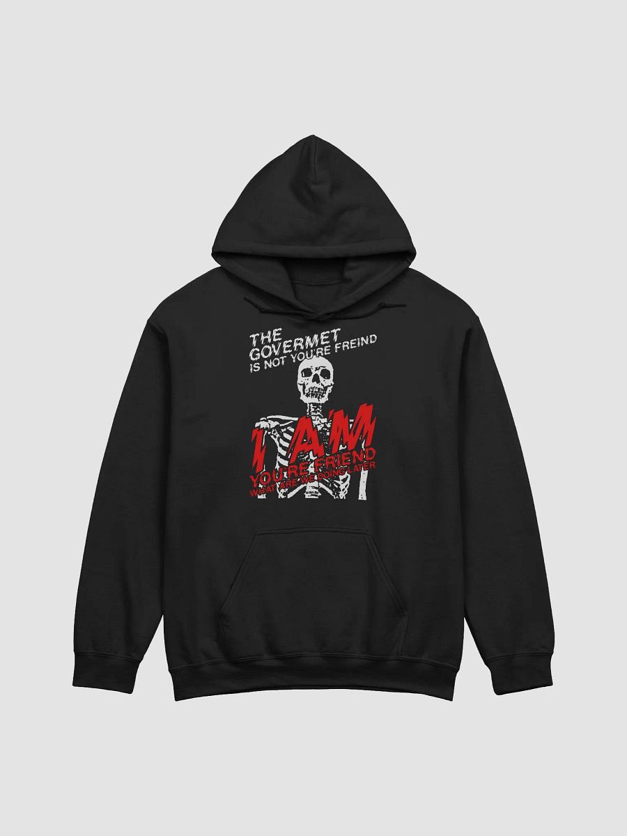 GOVERNMENT HOODY product image (1)