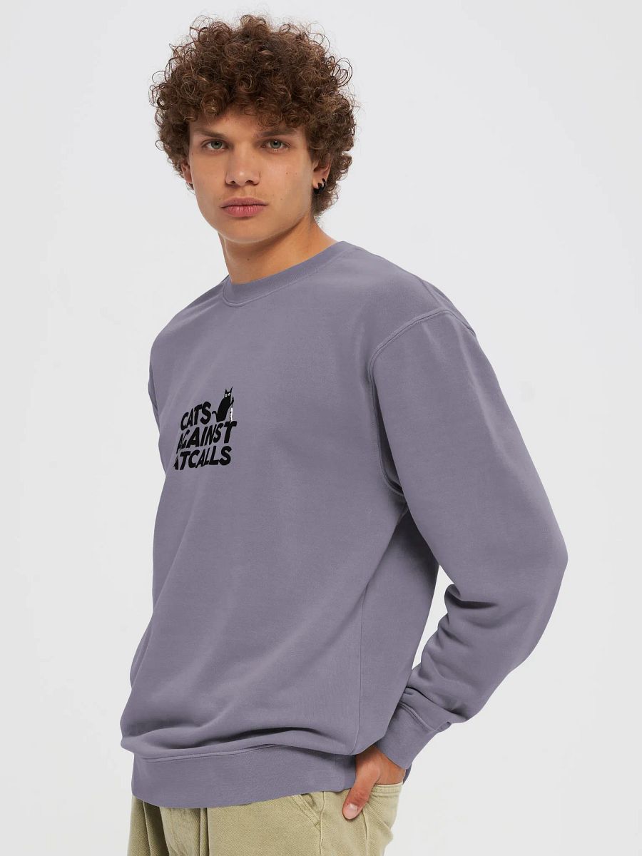 Cats Against Catcalls - Sweatshirt product image (36)