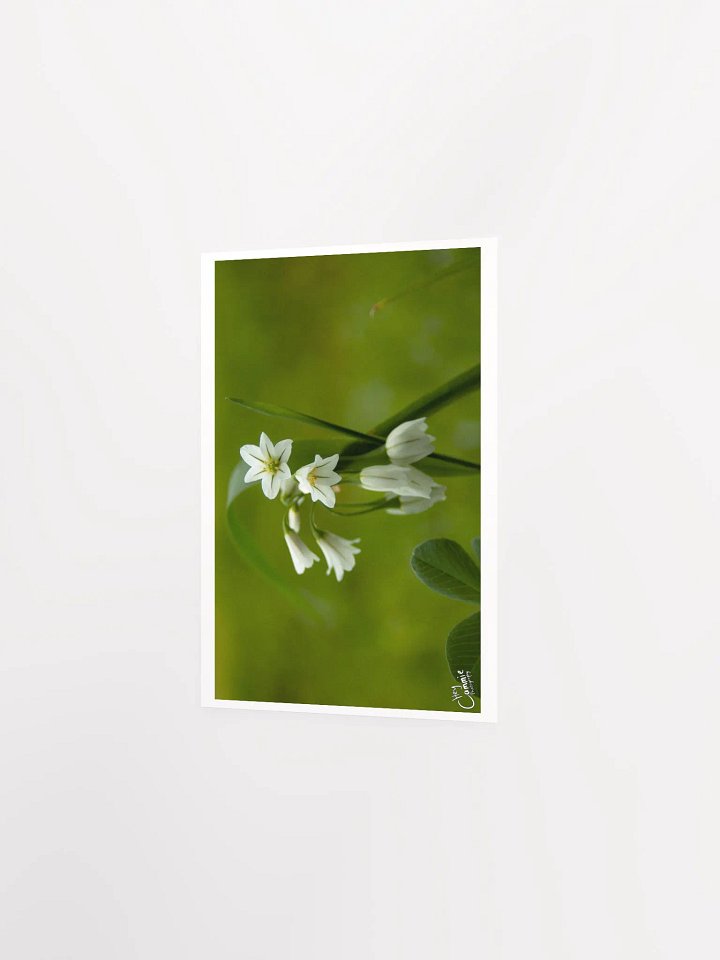 Nature's Beauty - Print product image (2)