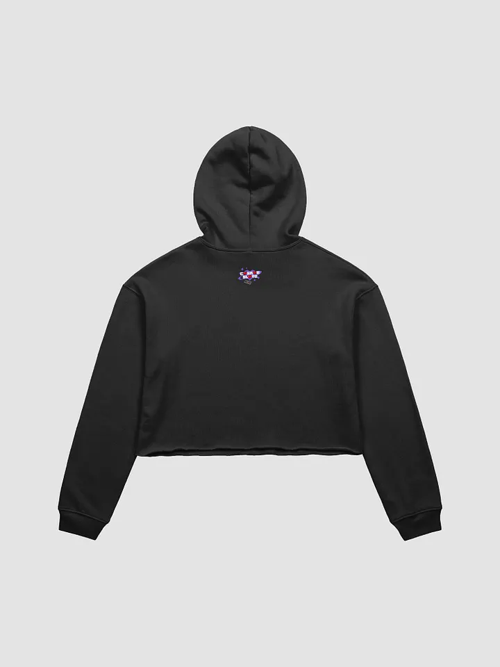 CasRae Ghost Hunting Cropped Hoodie product image (10)