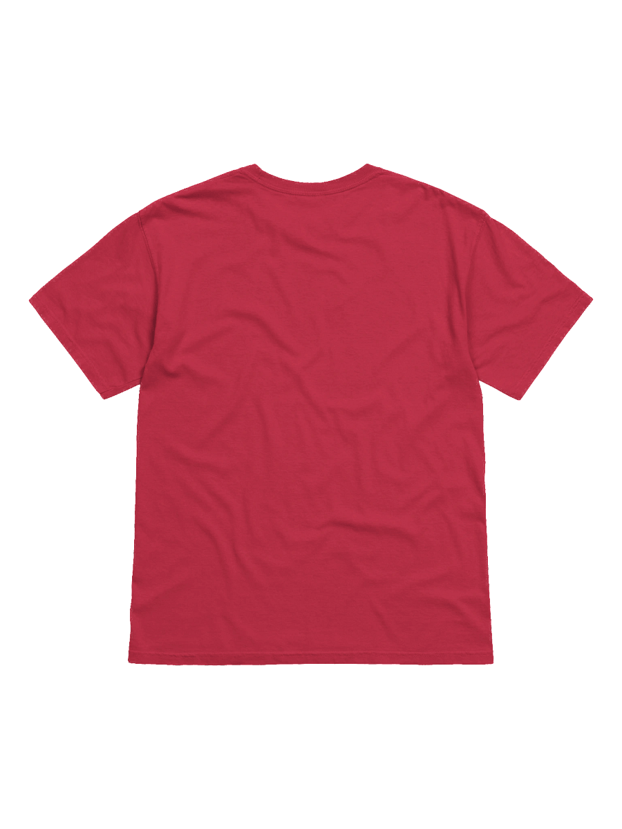 More Than a Parent - I`m Called | Christian Comfort Colors t-shirt| Parkinson Awareness | Gift to Parents product image (6)
