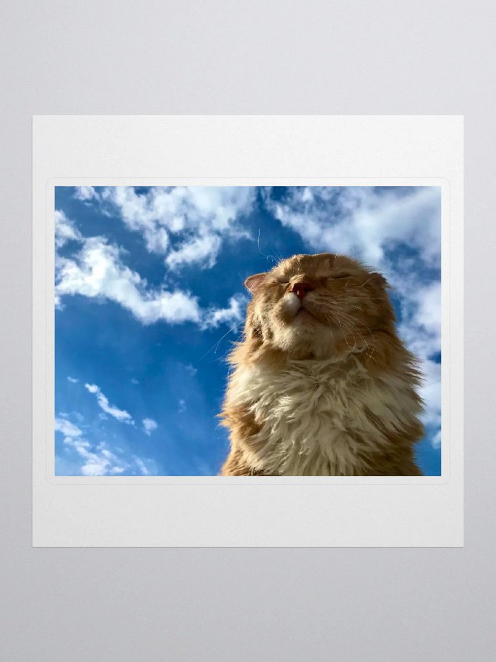 Cloud Prince Sticker product image (1)