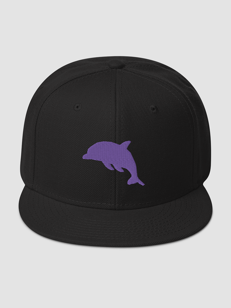 3D Dolphin Snapback