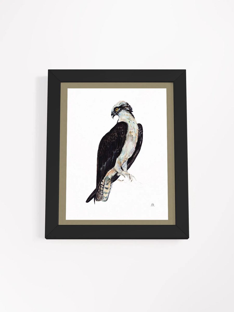 Osprey poster: Empower product image (1)