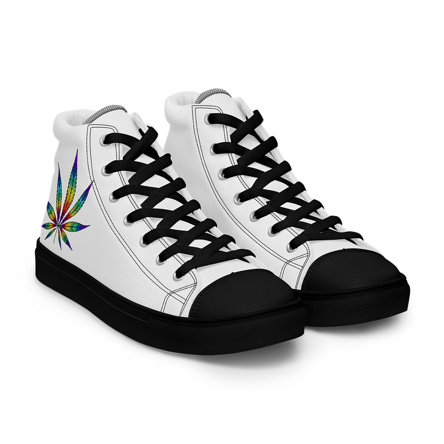 rainbow pot mens shoes product image (9)