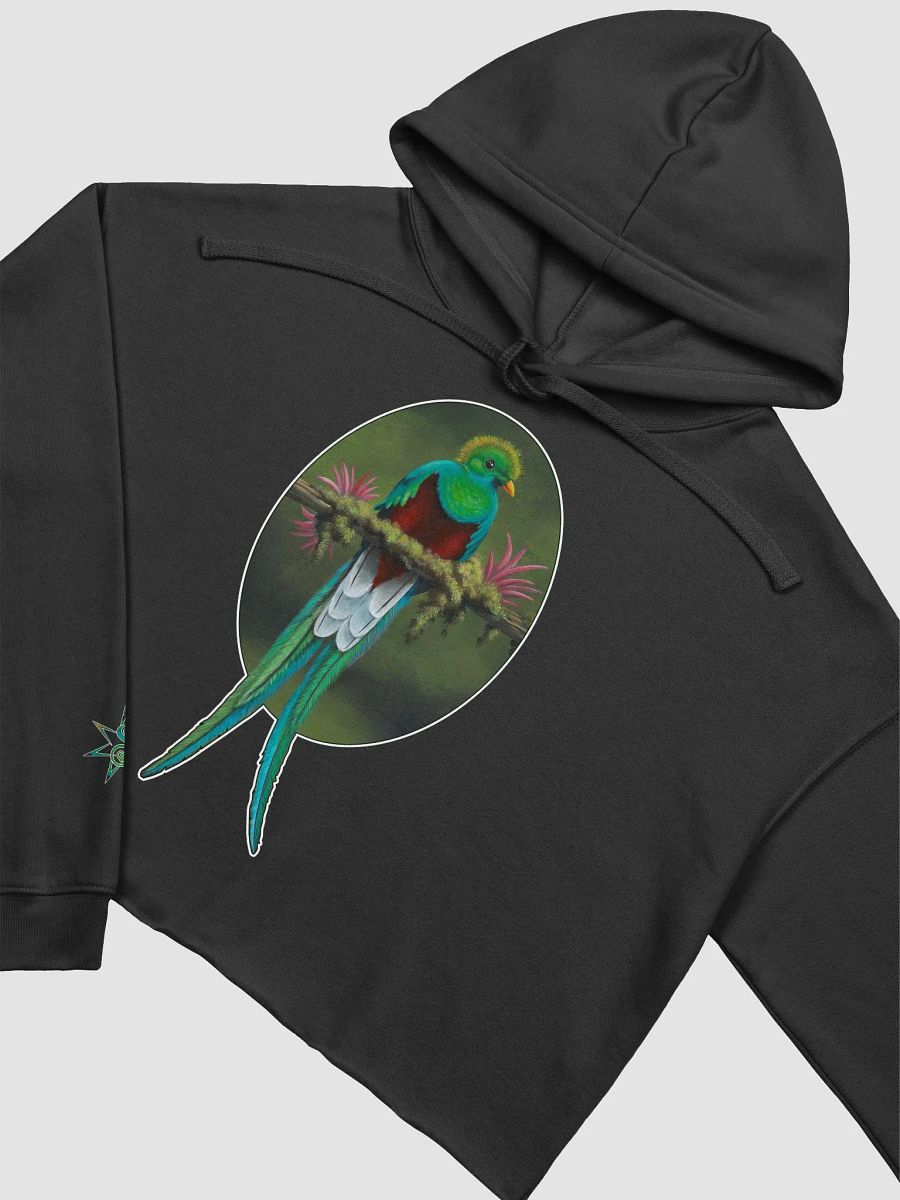 Resplendent Quetzal - SFA Crop Hoodie product image (7)