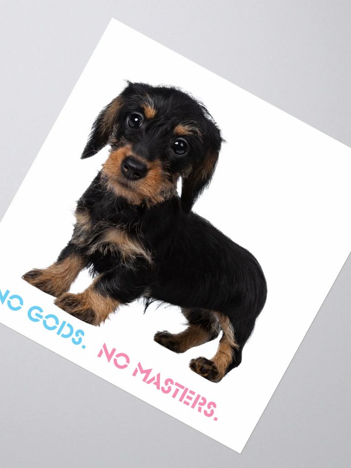 No Gods No Masters - White Sticker product image (5)