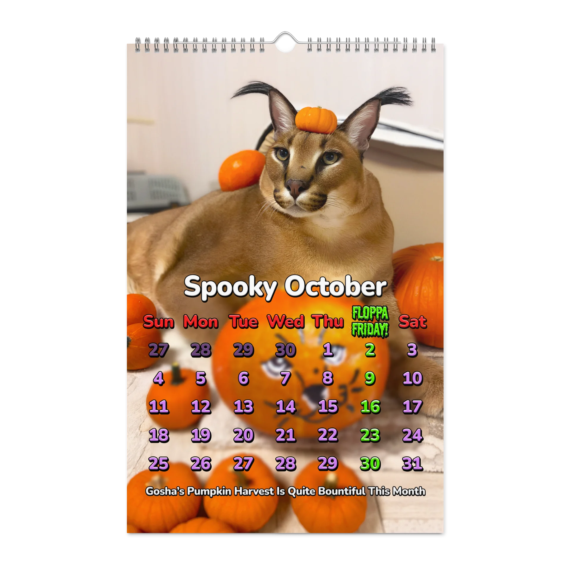 BIG CARACALENDAR 2026 (Limited Edition) product image (12)