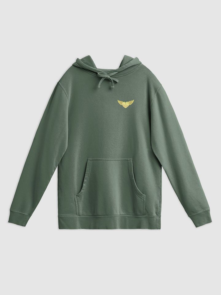 Washed Out by Sunlight Pigment Hoodie product image (9)