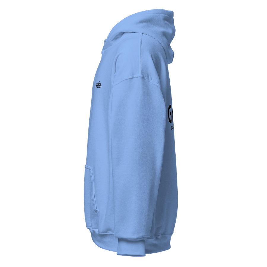 Gallus Hoodies - Embroidery Minimalistic product image (3)