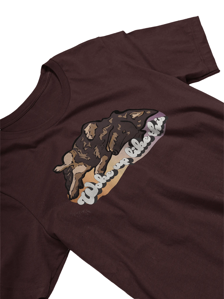 Woke Up Like Longboy - Soft Tee product image (3)