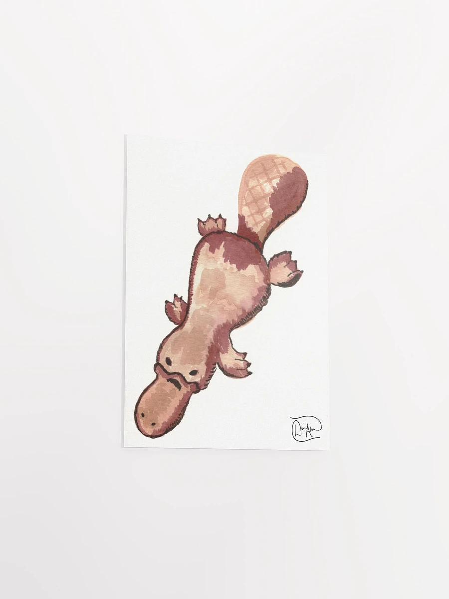 Platypus #66768 Watercolour Print product image (3)